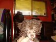 Lost 2 Roxy (MA)