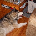 Found 2 Smokie Found 2 Smokie