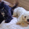 Found 2 Lola Newhart/Miller Found 2 Lola Newhart/Miller