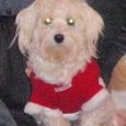 Lost 2 Indie (FL)