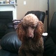 Lost 2 Nochee (FL)
