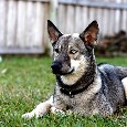 Lost 2 Prince aka Little Man (TN)