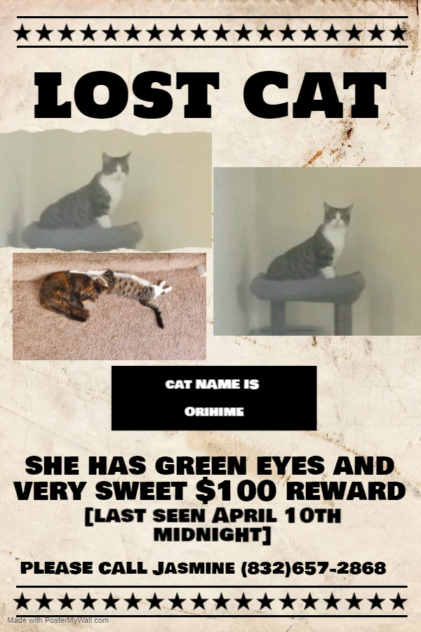 Image of Orihime, Lost Cat