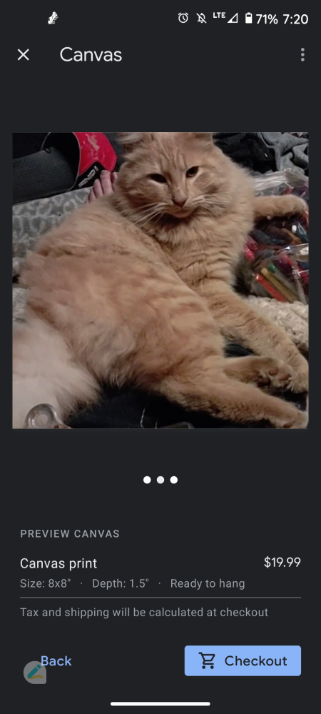 Image of JromaMean, Lost Cat