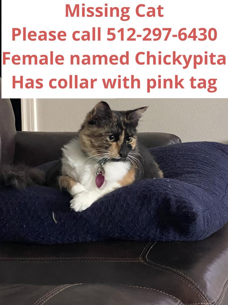 Image of Chickypita, Lost Cat