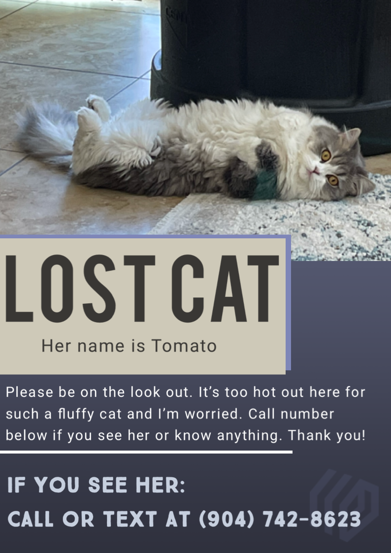 Image of Tomato, Lost Cat