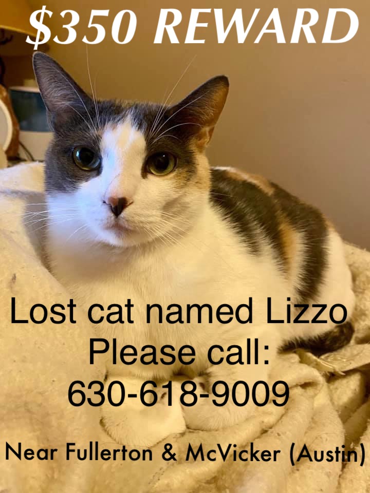 Image of Lizzo, Lost Cat