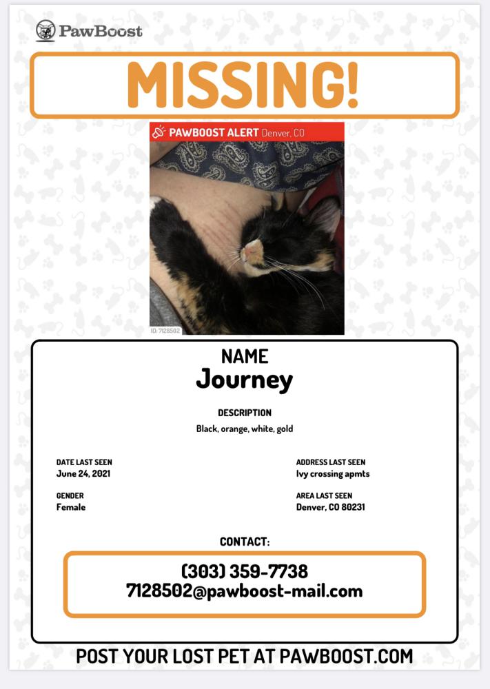 Image of Journey, Lost Cat