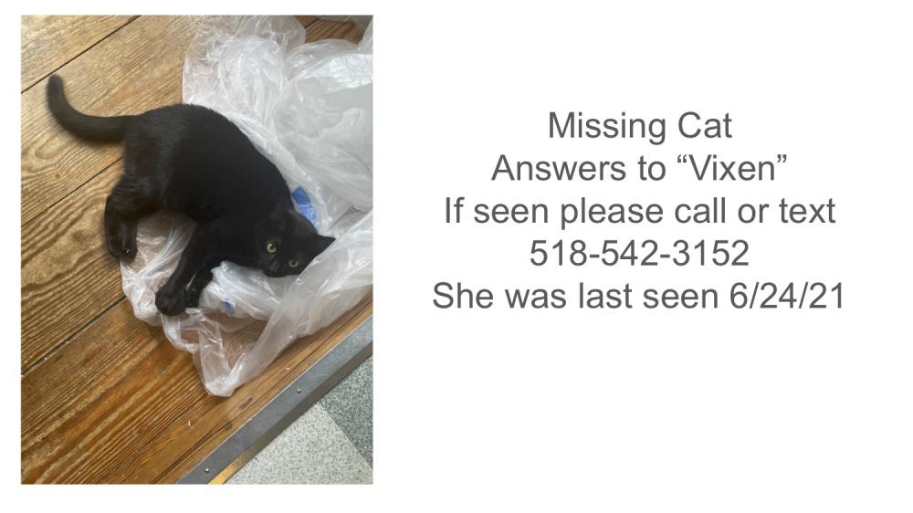 Image of Vixen, Lost Cat