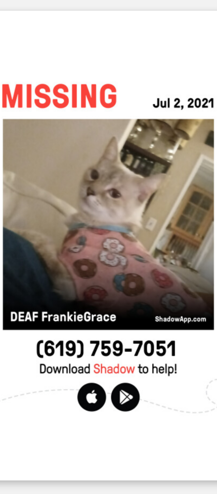 Image of DEAF FrankieGrace, Lost Cat