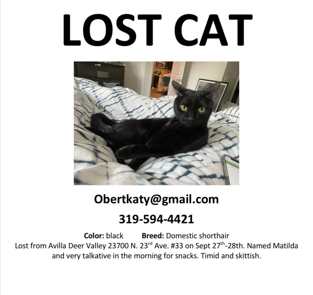 Image of Matilda, Lost Cat