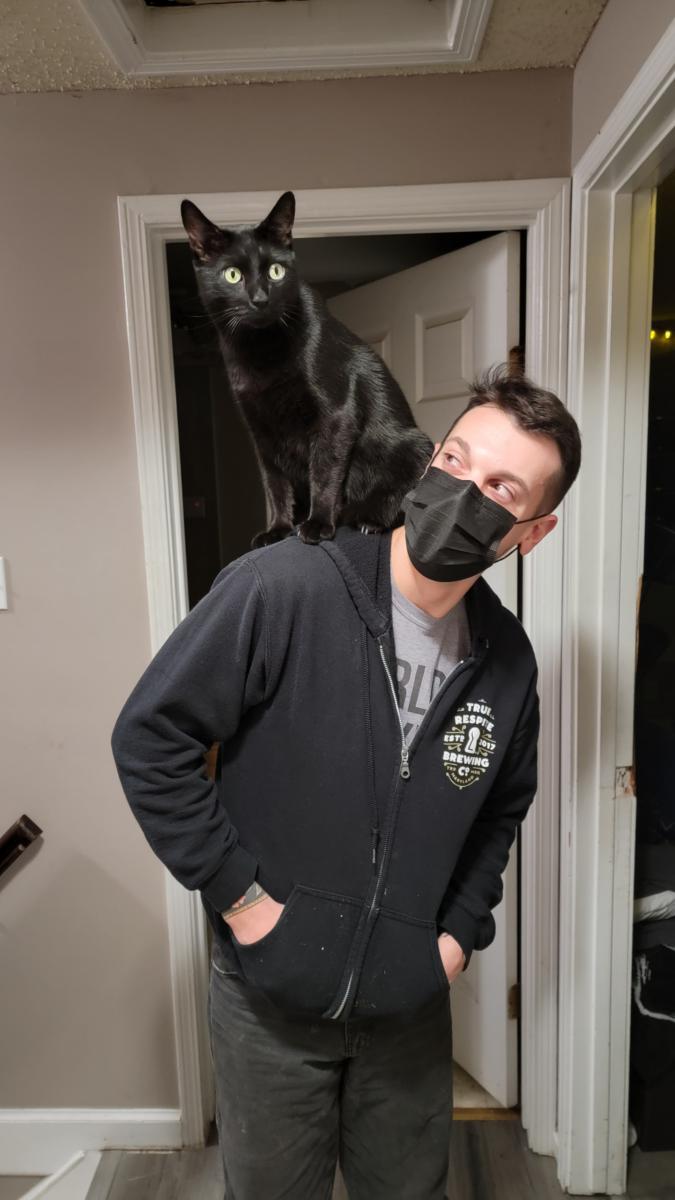 Image of Jeff, Lost Cat