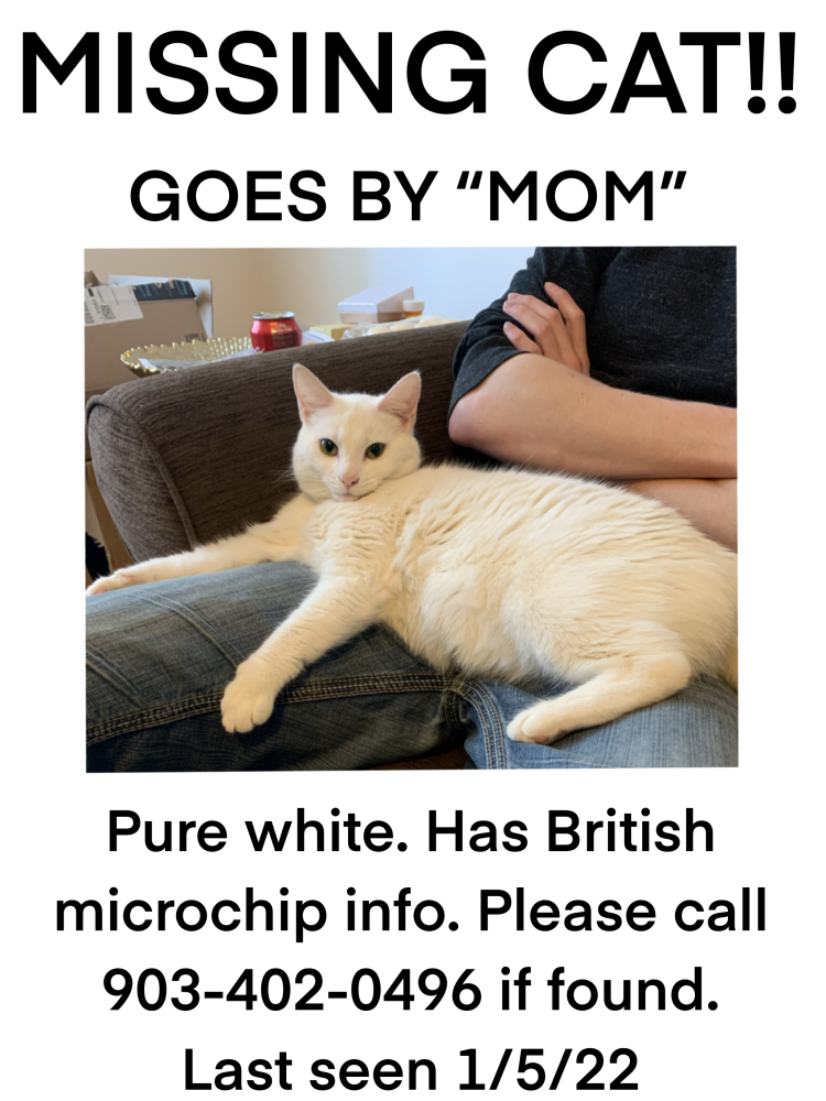 Image of Mom, Lost Cat