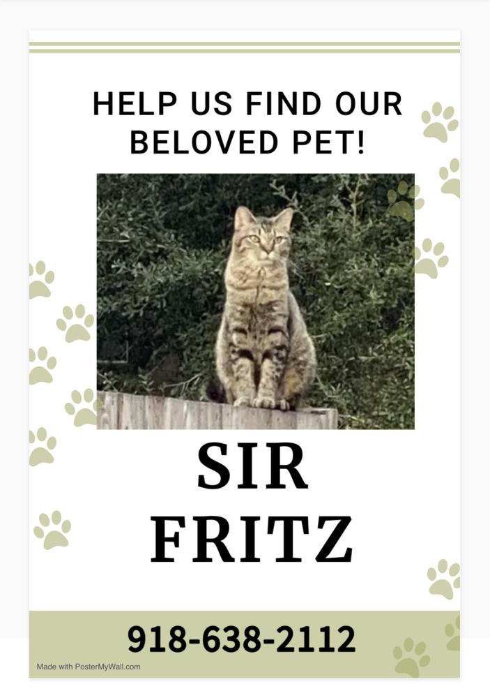 Image of Sir Fritz, Lost Cat