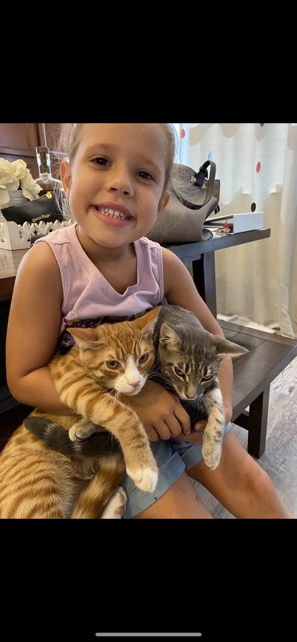 Image of Violet and Cheese, Lost Cat