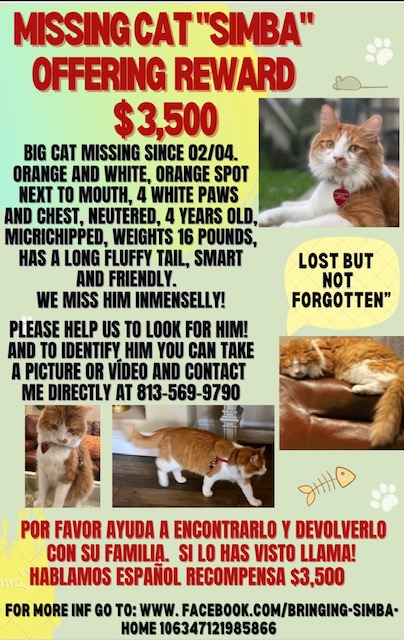 Image of Simba Mount, Lost Cat