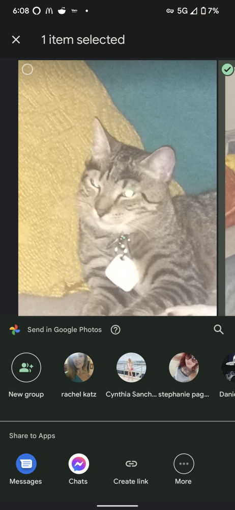 Image of Gary, Lost Cat