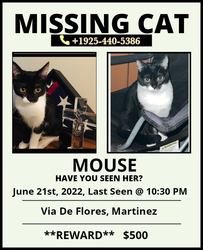 Image of mouse, Lost Cat