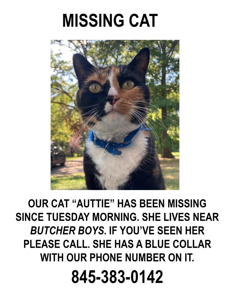 Image of Auttie, Lost Cat