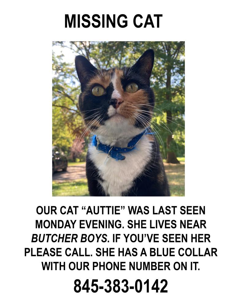 Image of Auttie, Lost Cat