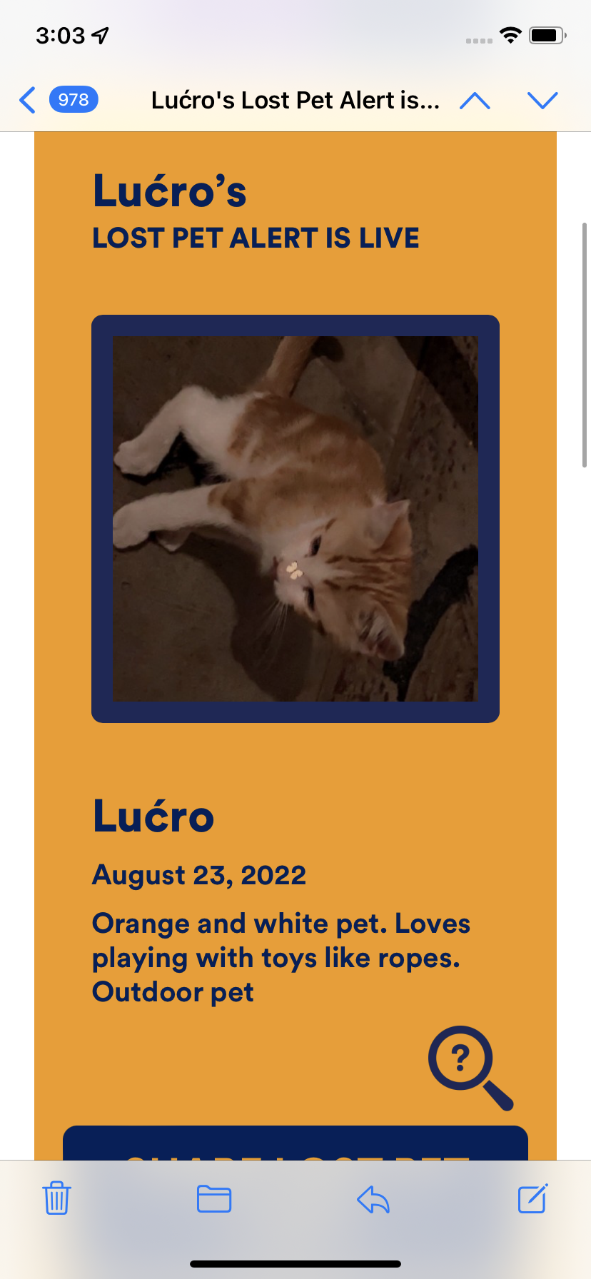 Image of Lu?ero, Lost Cat