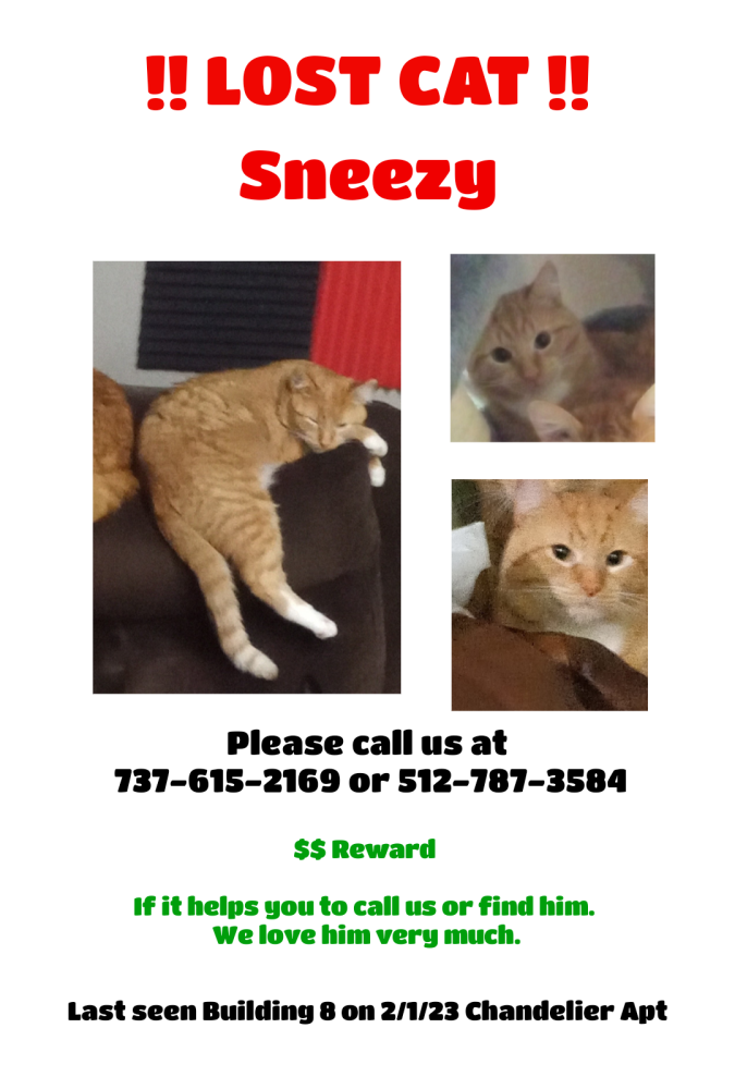Image of Sneezy, Lost Cat