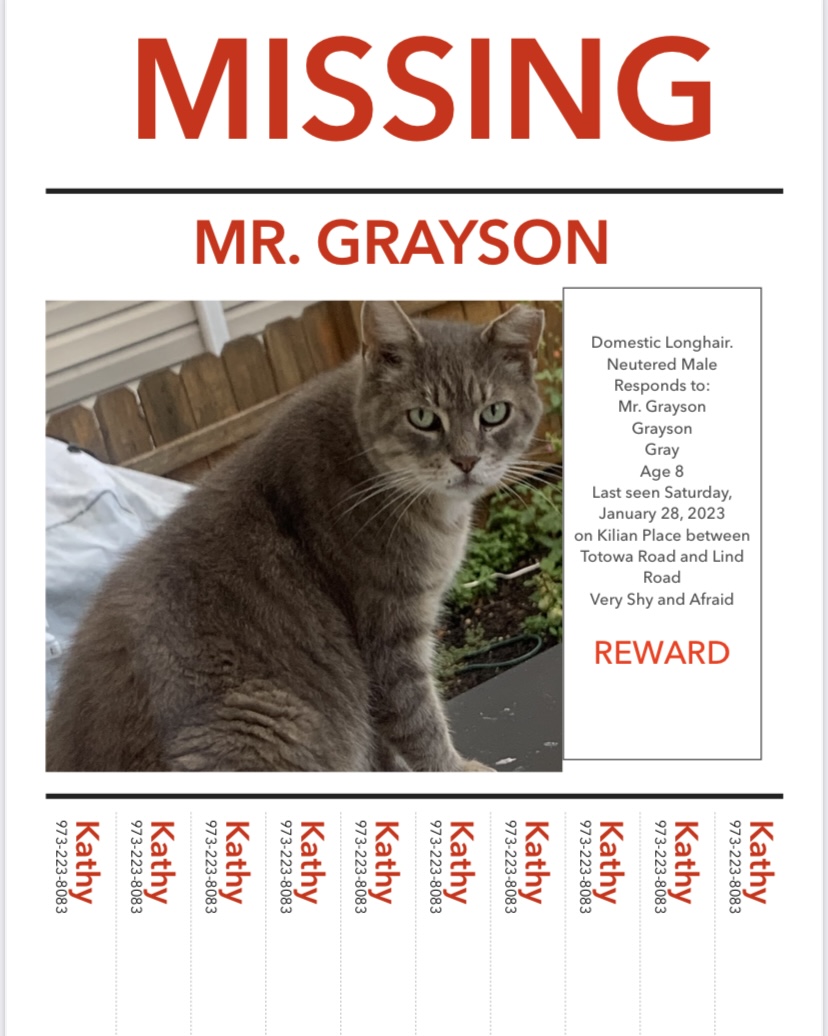 Image of Mr. Grayson, Lost Cat