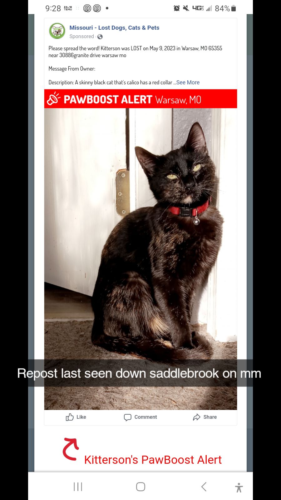 Image of Kidderson, Lost Cat