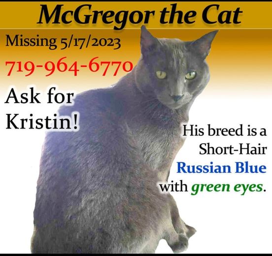Image of McGregor, Lost Cat