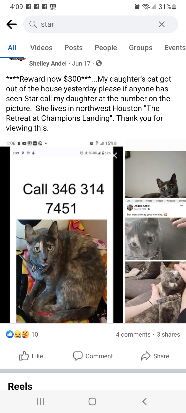 Image of STAR, Lost Cat