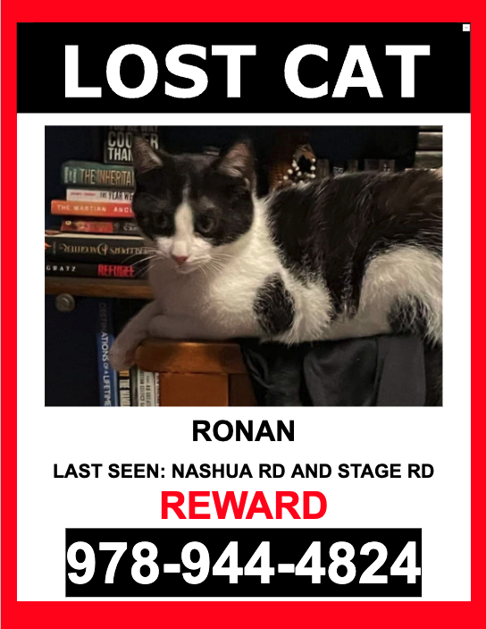 Image of 01862, Lost Cat