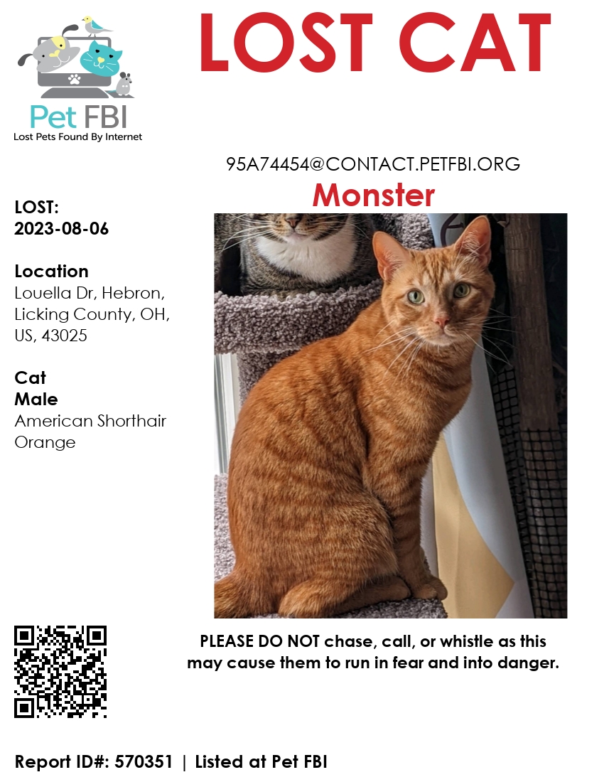 Image of Monster, Lost Cat