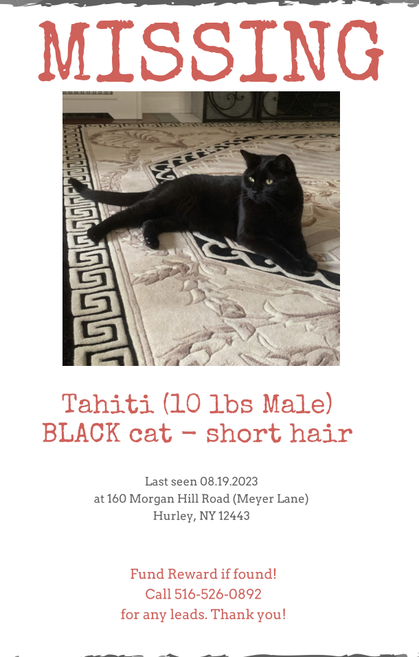 Image of Tahiti, Lost Cat