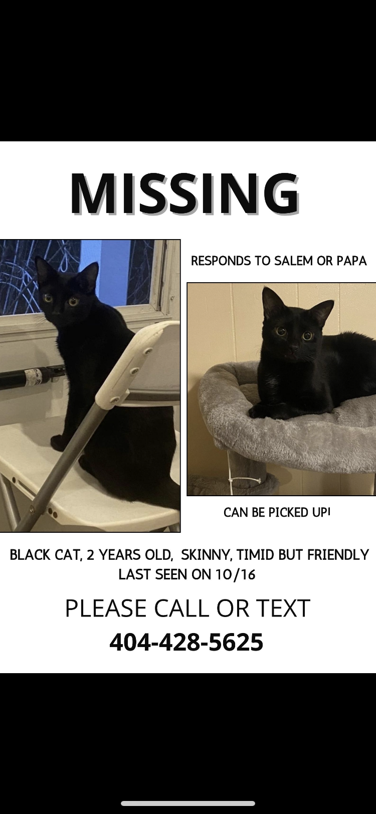 Image of Salem nickname Papa, Lost Cat