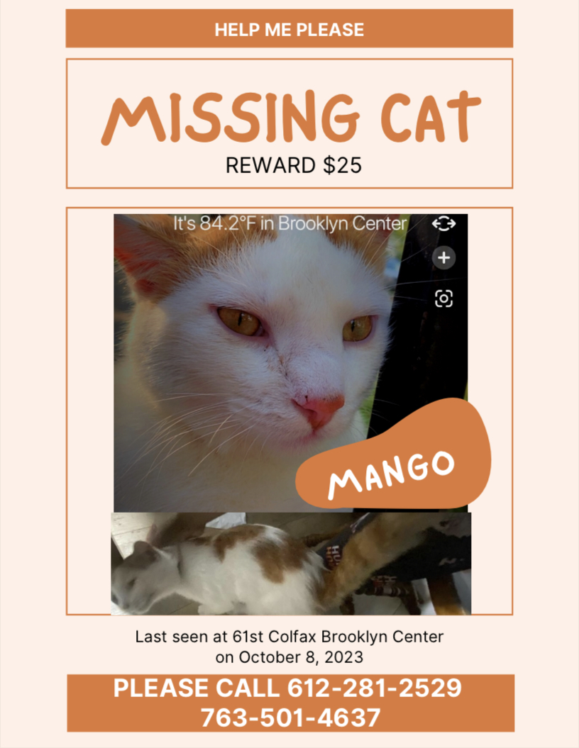 Image of Mango, Lost Cat