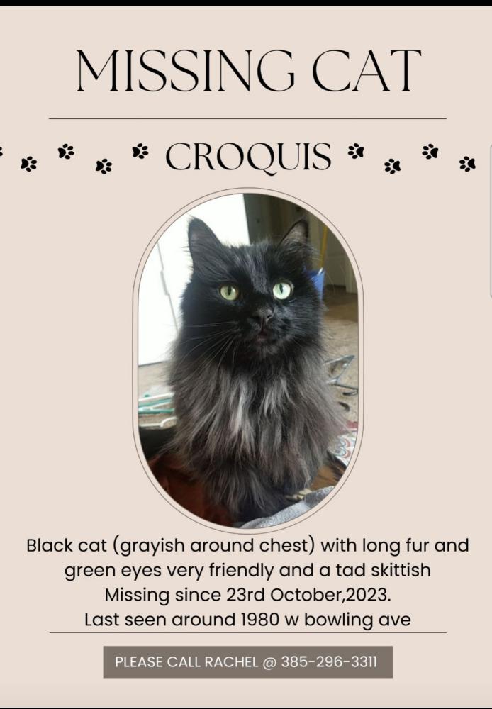 Image of Croquis, Lost Cat
