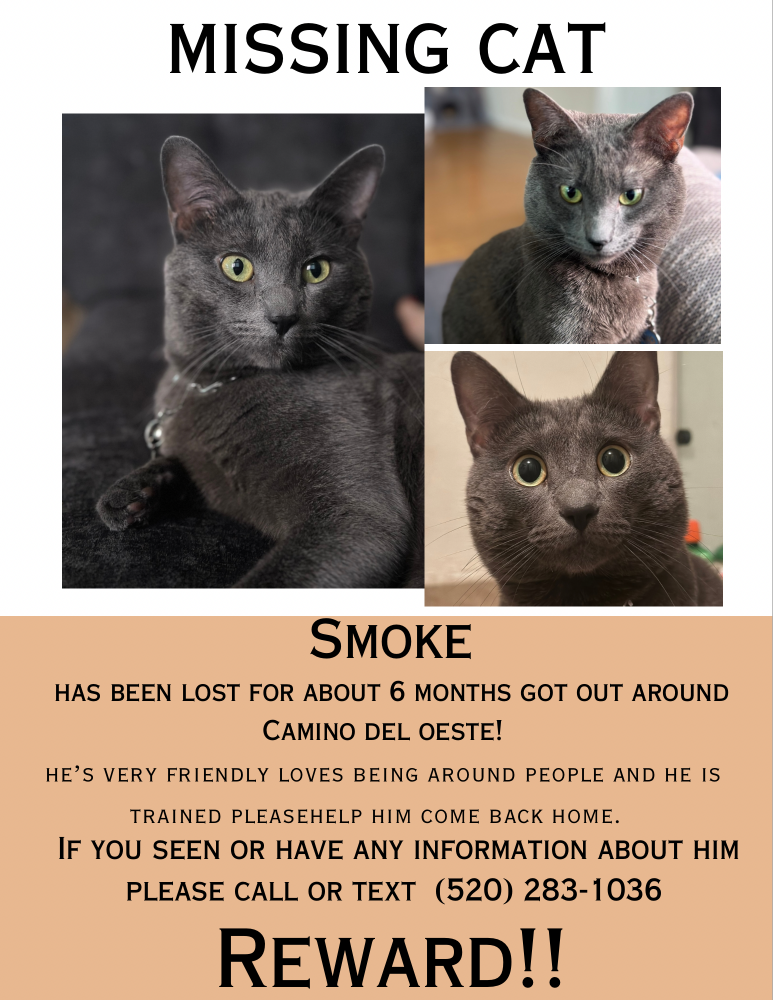Image of Smoke, Lost Cat