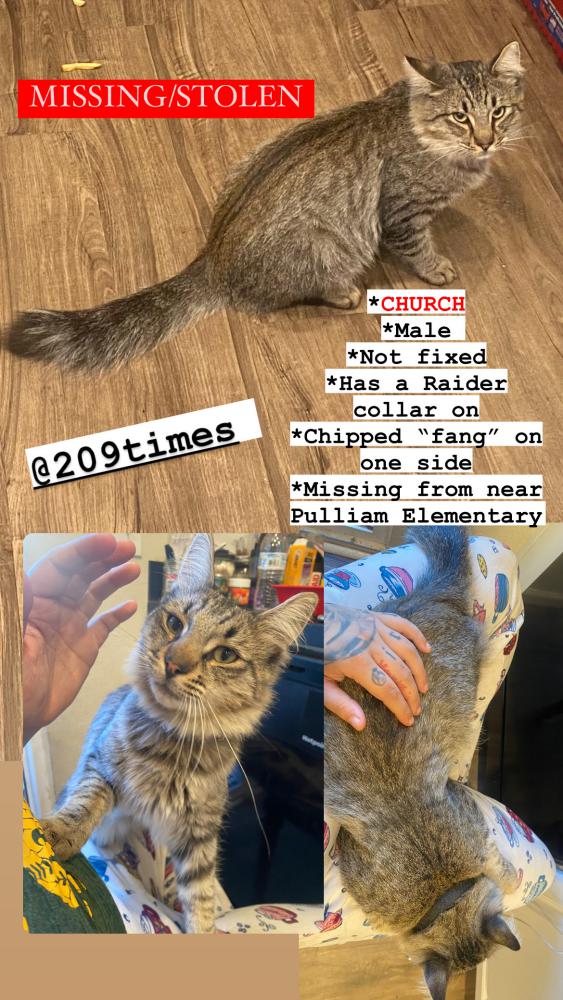 Image of Church, Lost Cat