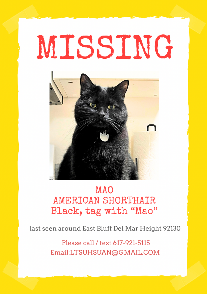 Image of Mao, Lost Cat