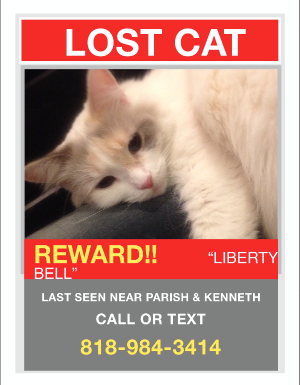Image of Liberty Bell, Lost Cat
