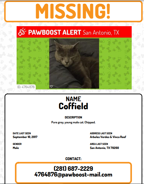 Image of Coffield, Lost Cat