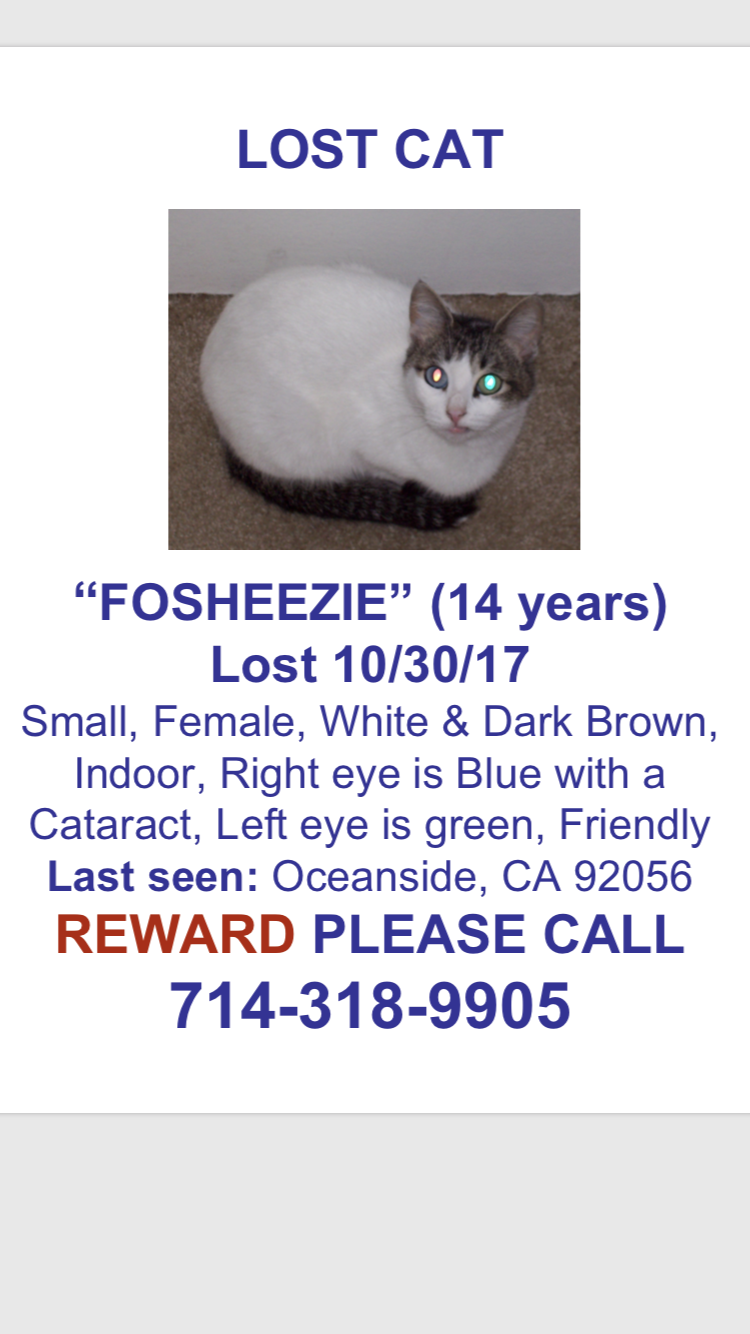 Image of Fosheezie, Lost Cat