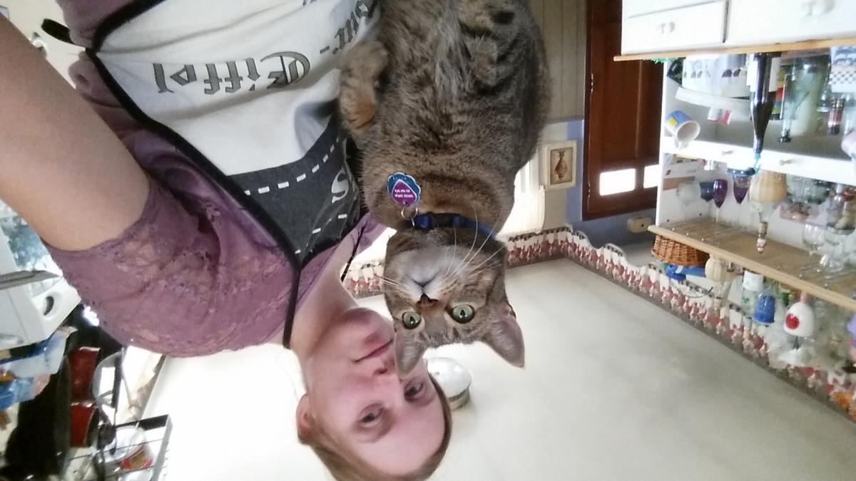 Image of Tabitha (Tabby), Lost Cat