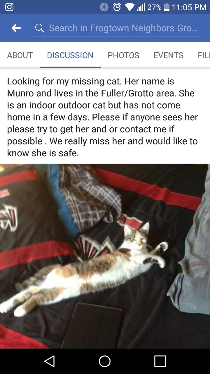 Image of Munro, Lost Cat