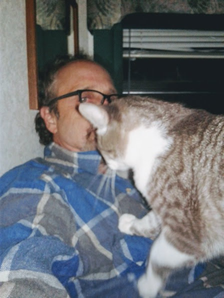 Image of Bob, Lost Cat