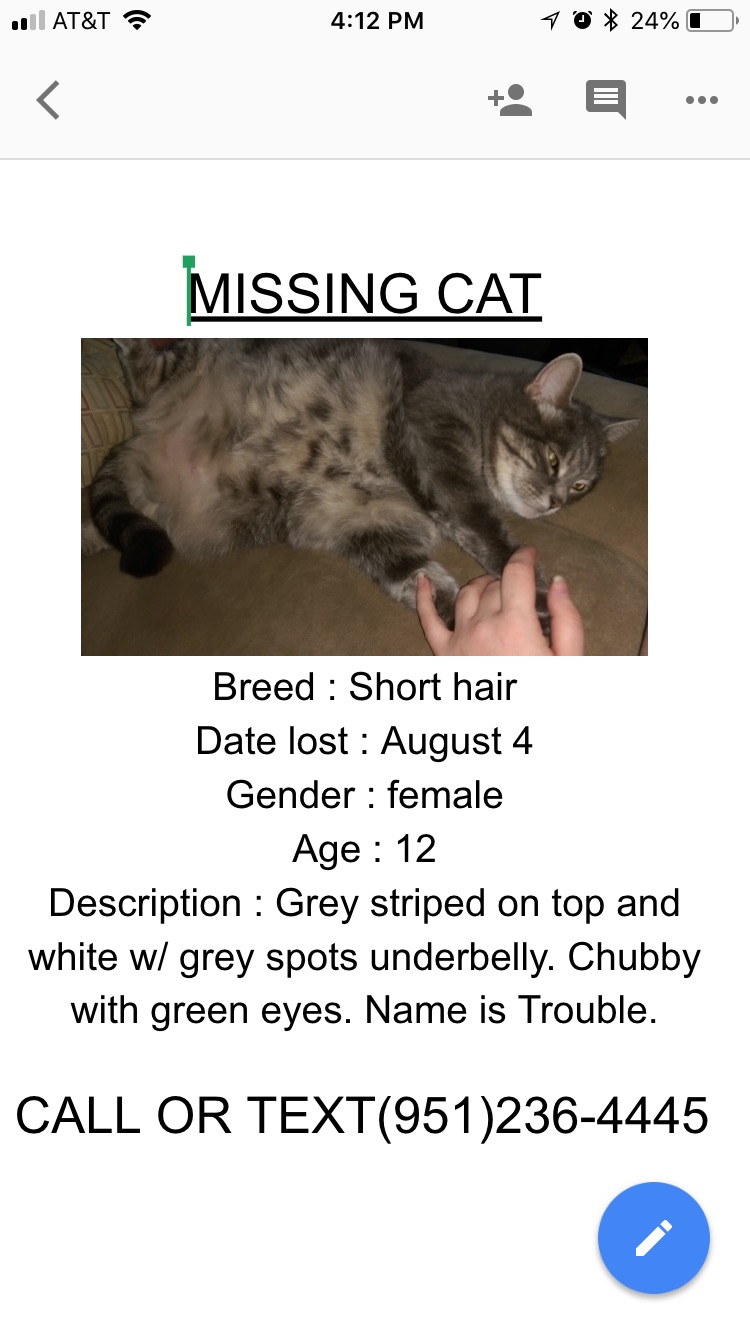 Image of Trouble, Lost Cat