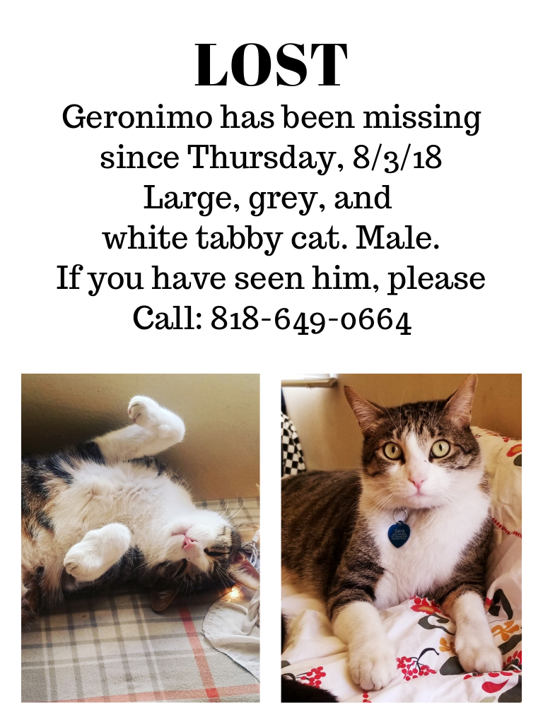 Image of Geronimo, Lost Cat