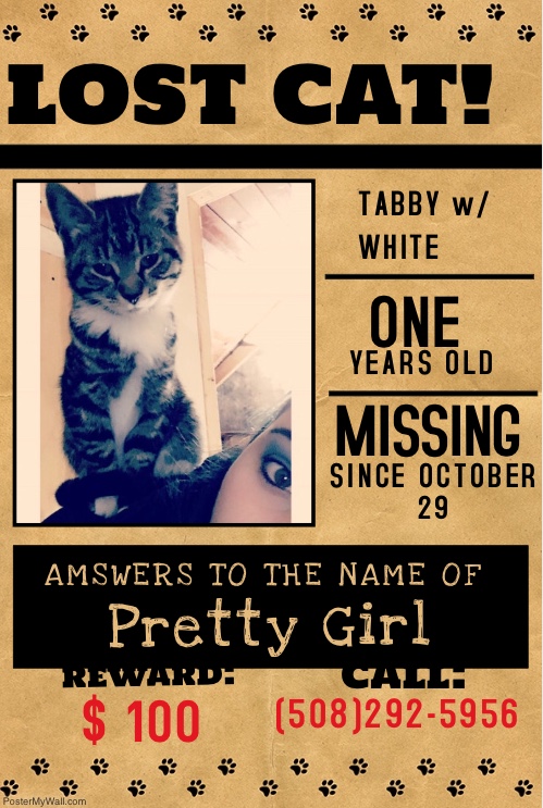 Image of Pretty Girl, Lost Cat
