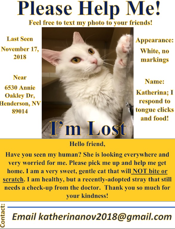 Image of Katherina, Lost Cat