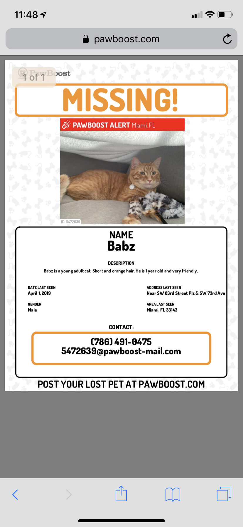 Image of Babz, Lost Cat